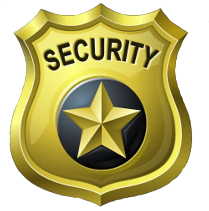 security logo